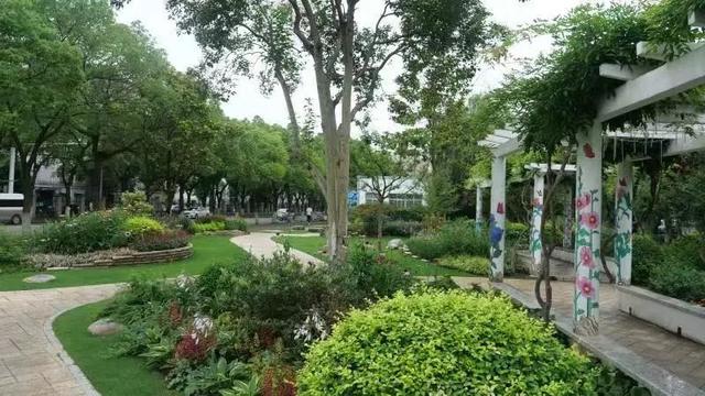 街心花园④