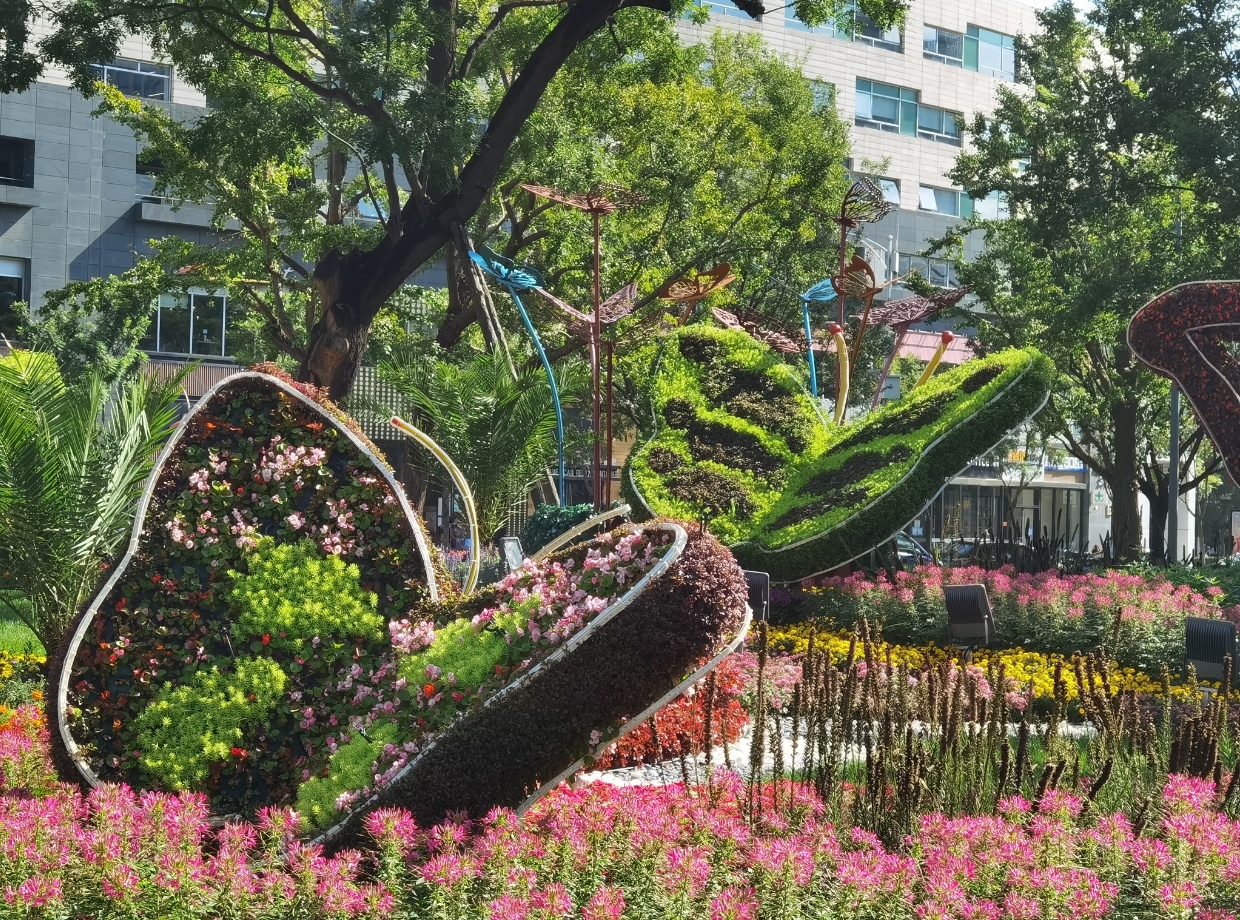 正是西城为了喜迎国庆布置的6组主题花坛中独具特色的