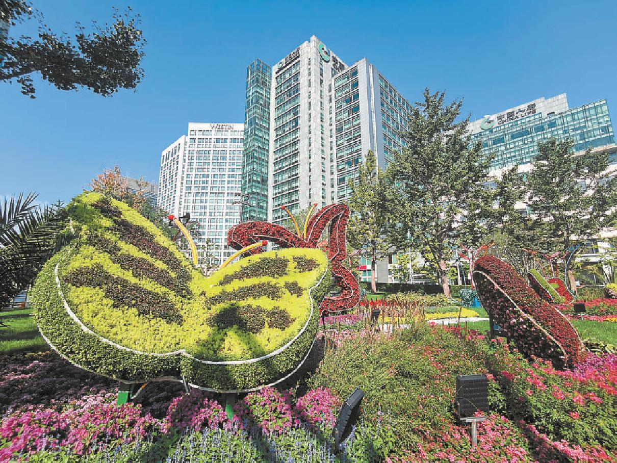 六大主题花坛扮靓中轴线金融街_新浪财经_新浪网