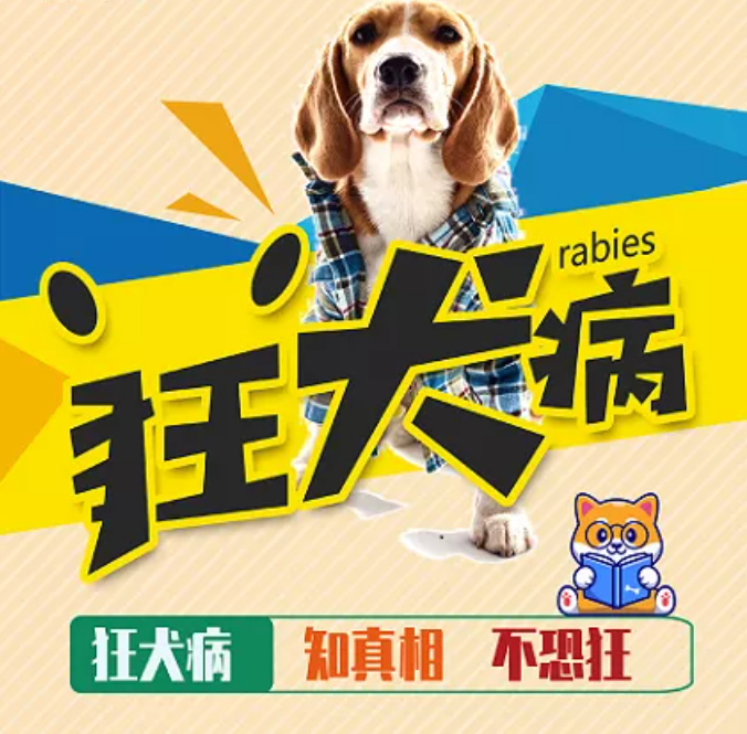 世界狂犬病日知真相不恐狂