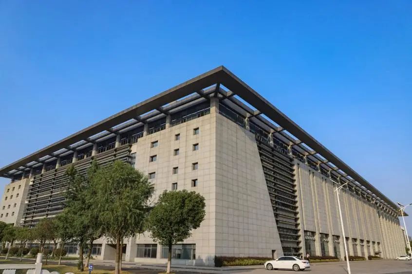 天鹅花海朗月湖诗和远方扬子津