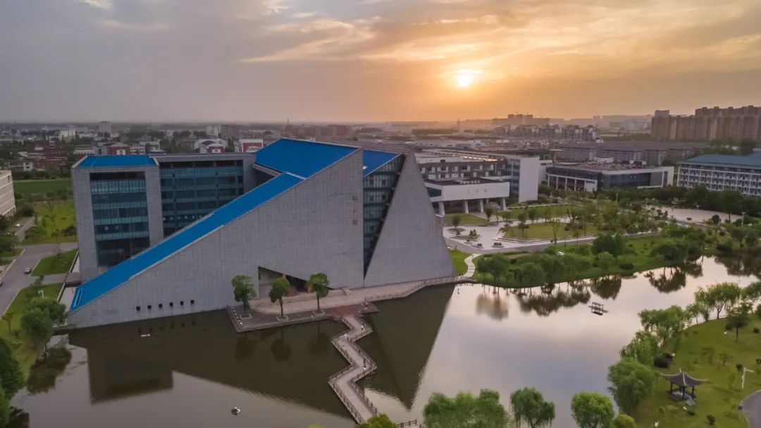 天鹅花海朗月湖诗和远方扬子津