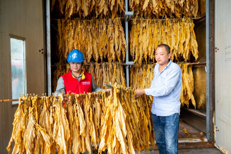 纯电烤烟设备图片