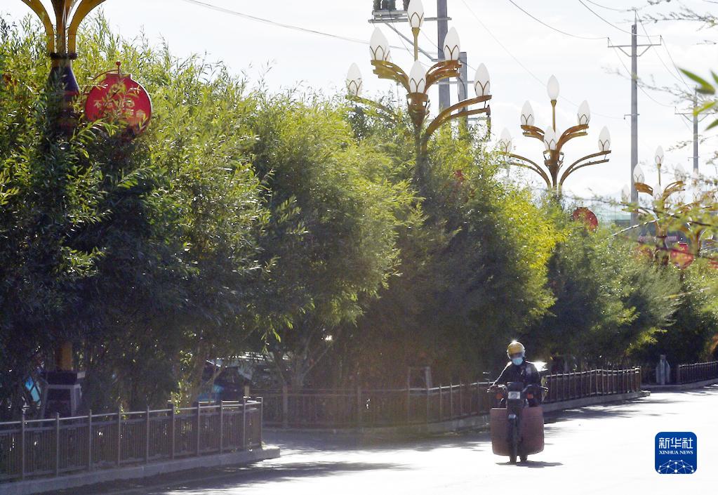 西藏阿里狮泉河镇居民在街头赏花(9月25日摄).