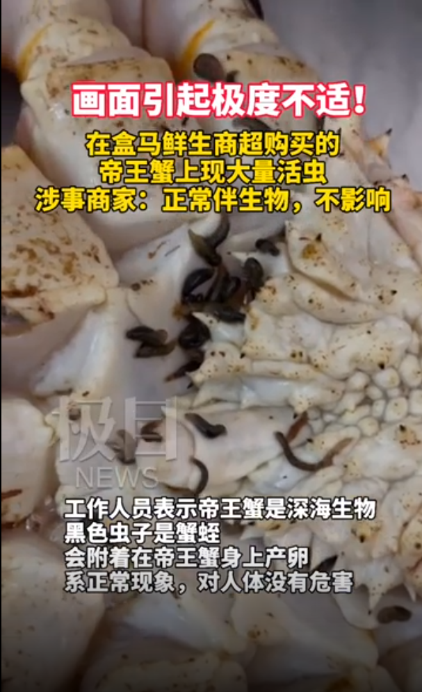 帝王蟹寄生虫图片