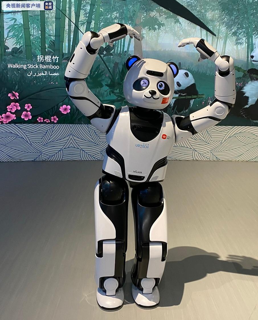 △熊猫机器人优悠