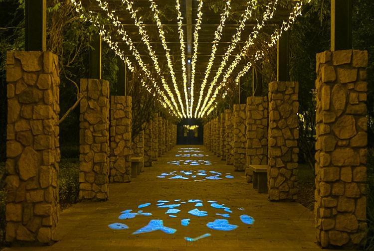 美轮美奂!松江这里的主题灯光秀上线