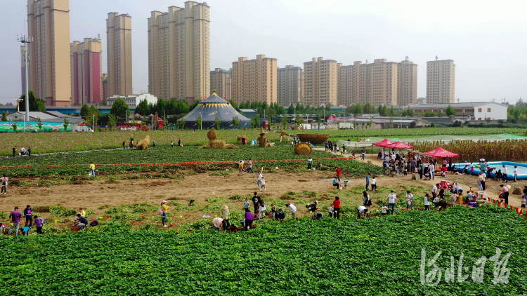 参观游览正定塔元庄