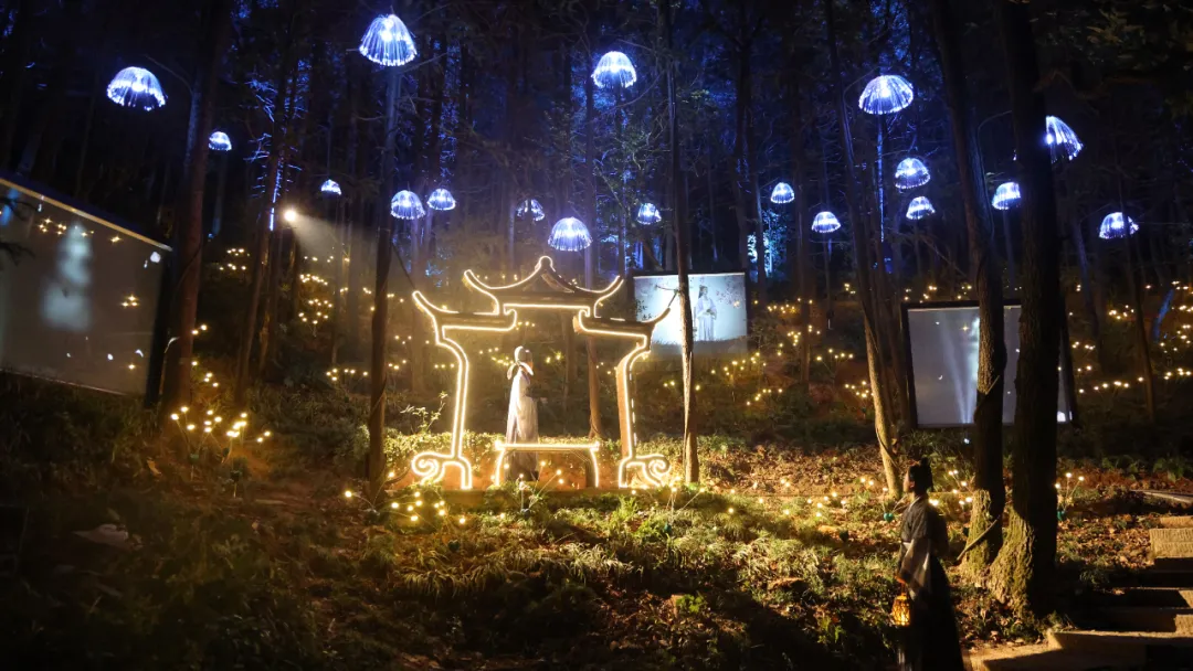 森林行浸式5d光影秀