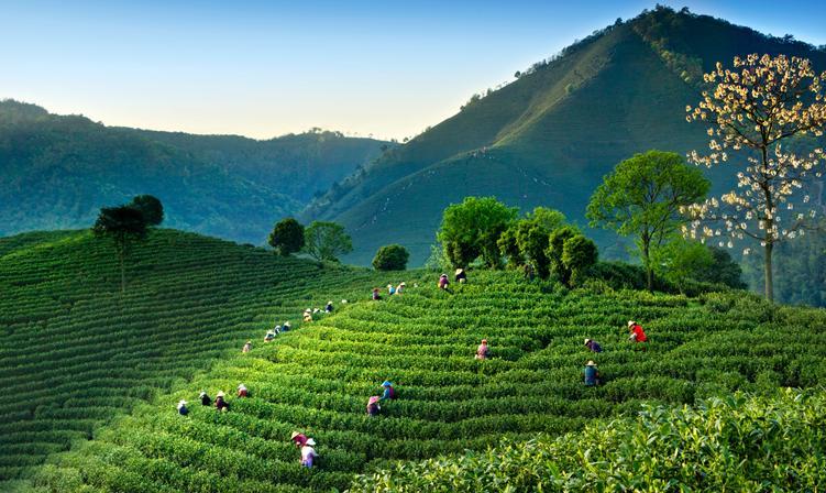 我和我的小康村|浙江安吉余村:绿水青山靓"共富"