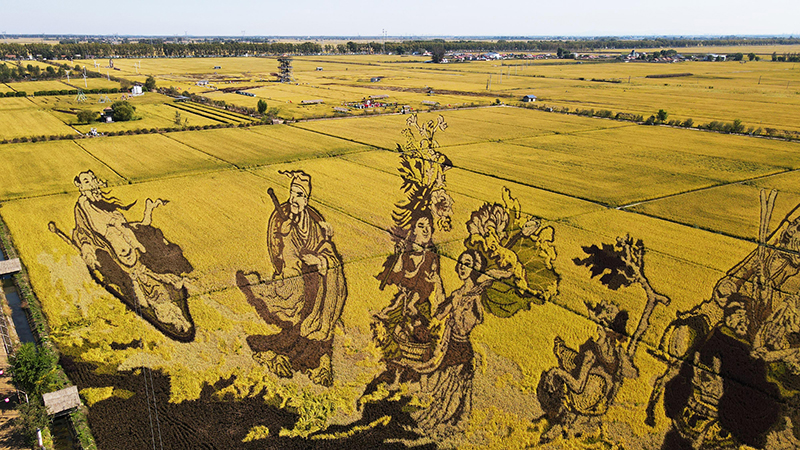 这是10月1日在沈阳市沈北新区“稻梦空间”景区拍摄的“八仙过海”稻田画（无人机照片）。新华社记者 杨青 摄