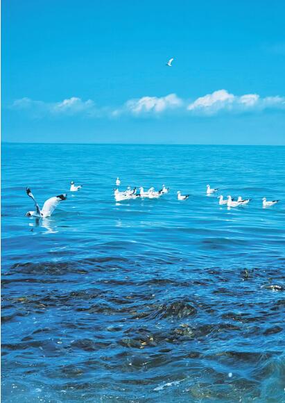 美丽的青海湖。摄影：华旦扎西