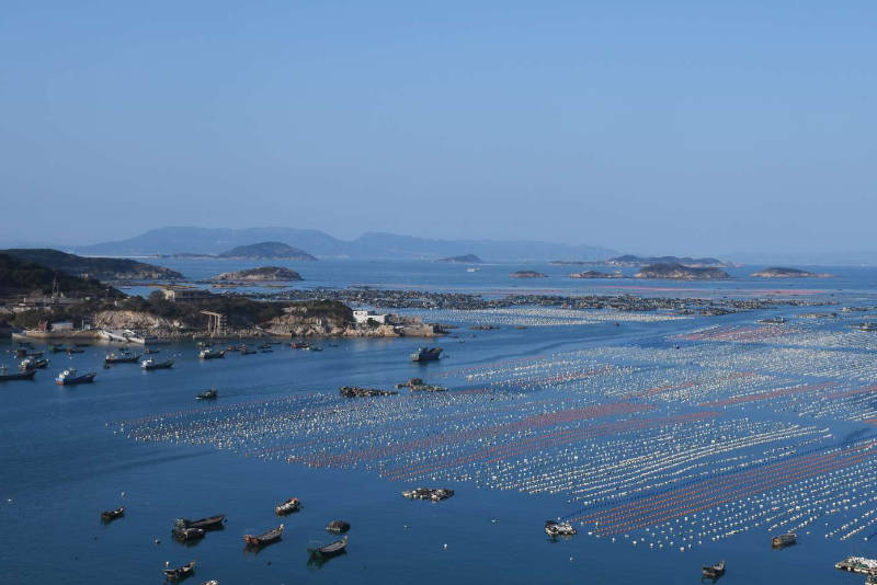 江山如此多娇61震撼海上渔排