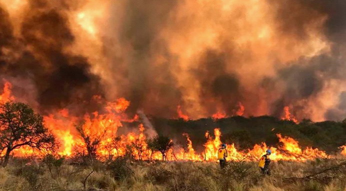 阿根廷山火肆虐：过火面积超3万公顷 已致3人死亡