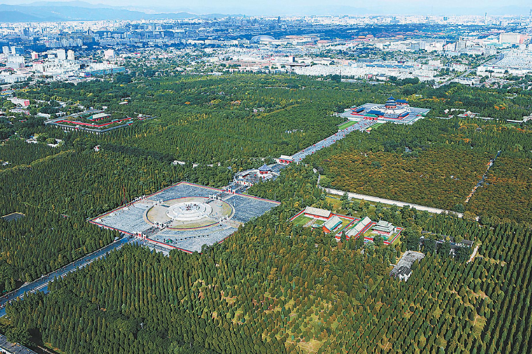 古柏林海丹青华彩|天坛_新浪财经_新浪网