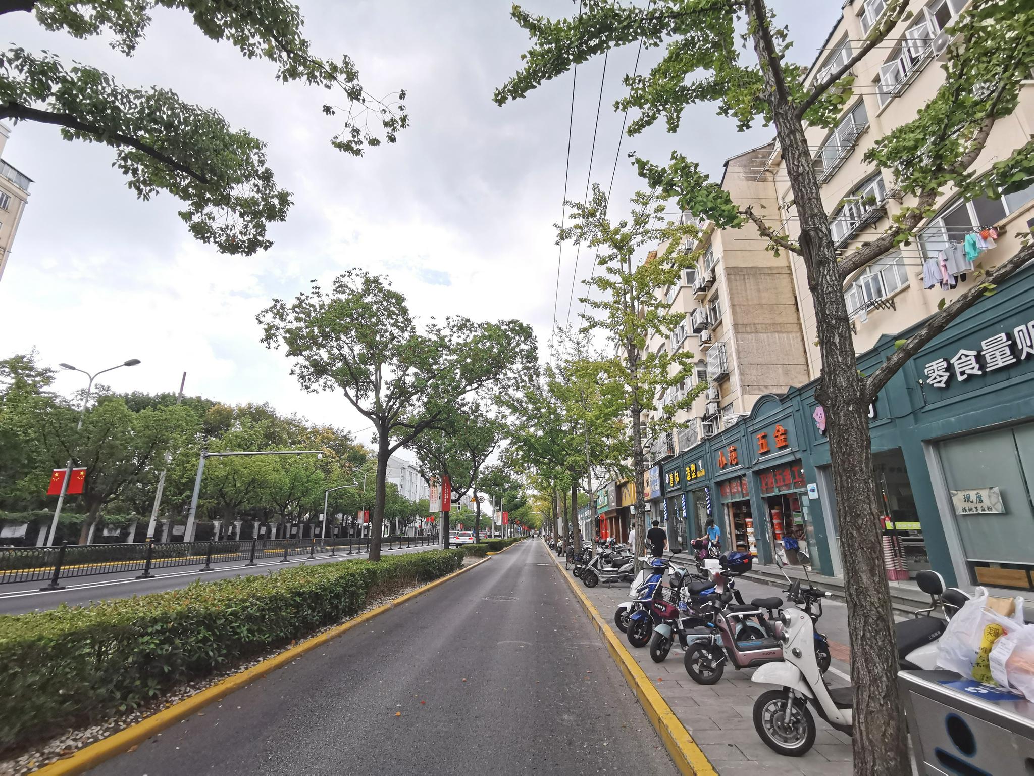 较往年提前一个多月,快来打卡松江秋日限定美景!