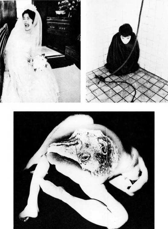 一本书了解日本人眼中的" 私摄影 "|日本_新浪财经_新浪网