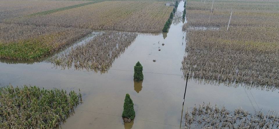 山西运城永济,被水淹的农田(图片来源:中国天气网)