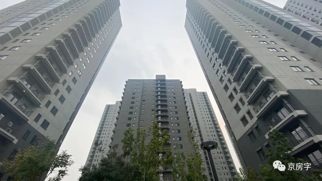 二胎及以上家庭直接配租公租房 首批选房启动 选房 新浪财经 新浪网