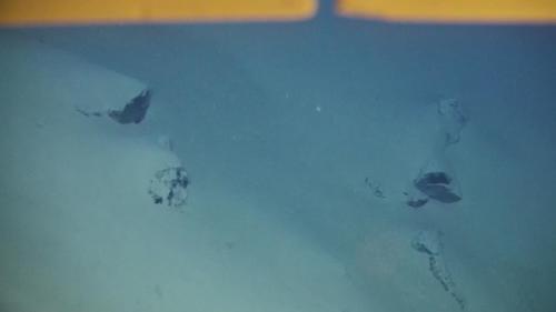 “海斗一号”拍摄的海底地形（沈阳自动化所供图）