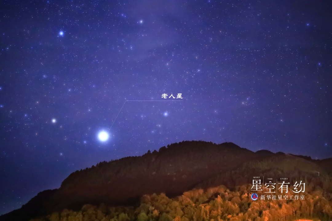 天上有颗老人星你知道吗