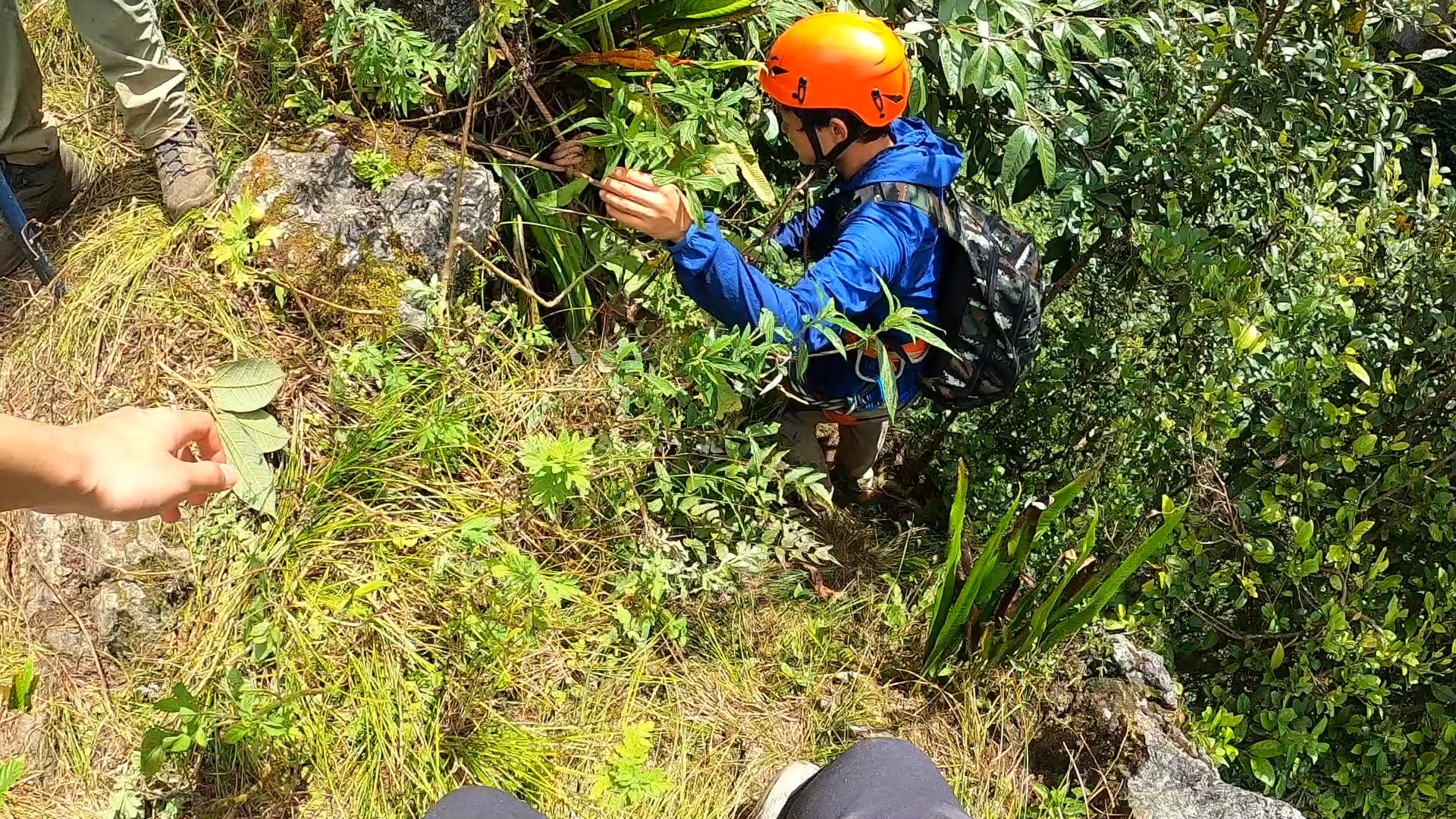 探秘多彩自然丨到云南天坑去采集 为生物多样性留一份底稿