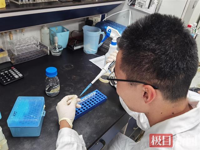 极目快评 强基计划不是升学跳板 考生要做好甘坐科研 冷板凳 的准备 强基计划 新浪财经 新浪网