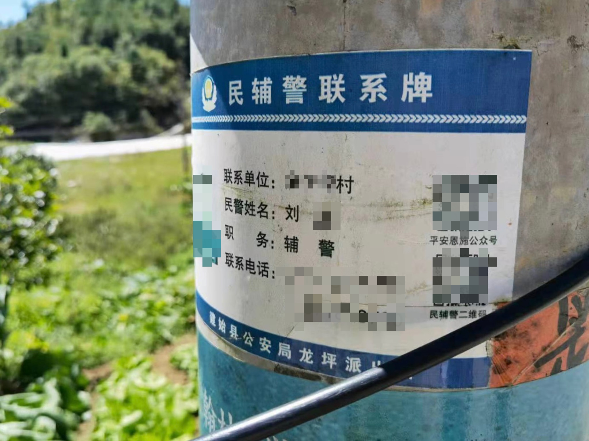 不单独做调研评估,"只负责盖章",收养登记,评估及发证,都由民政局彭