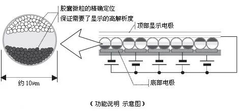 图片来源：百度百科