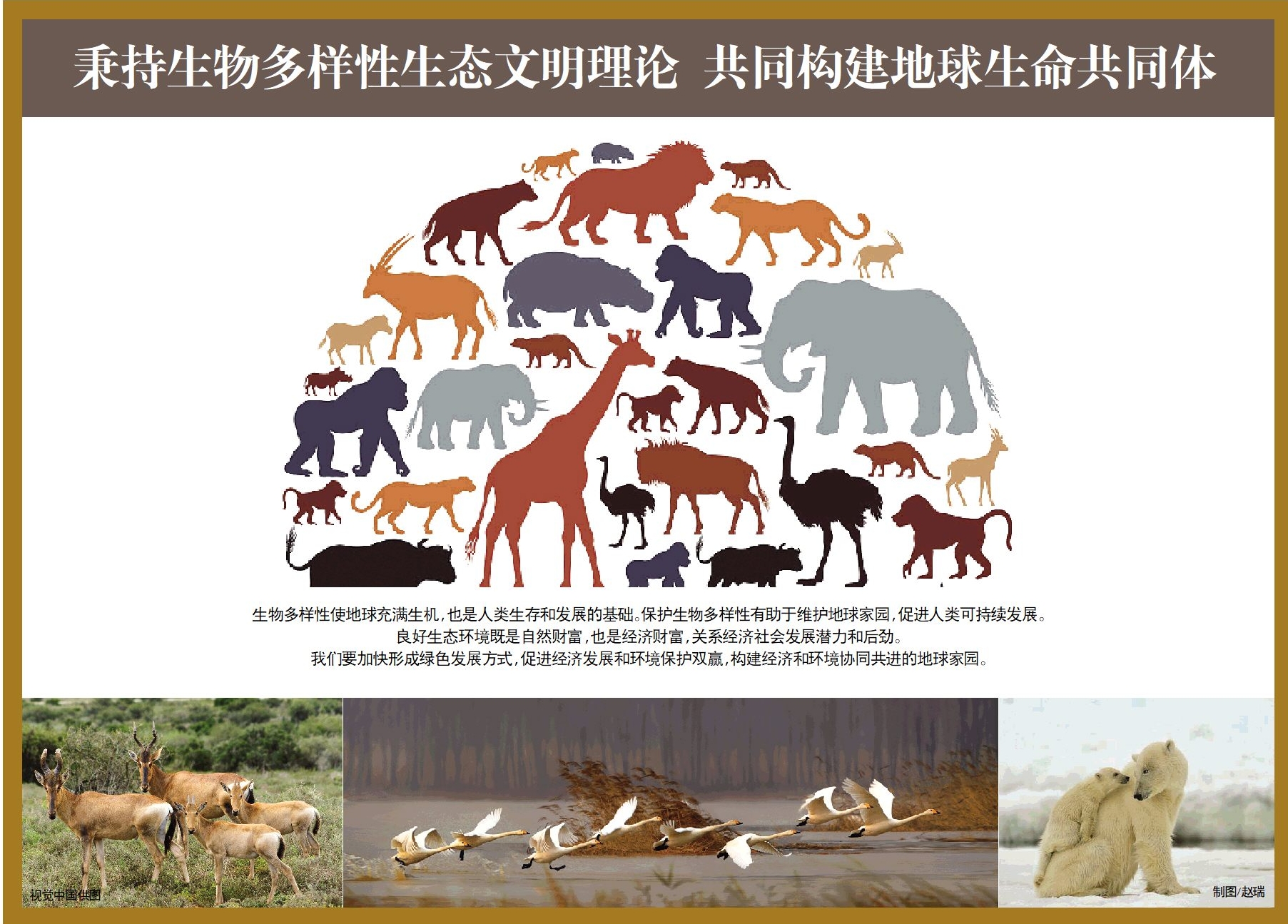 秉持生物多样性生态文明理论共同构建地球生命共同体