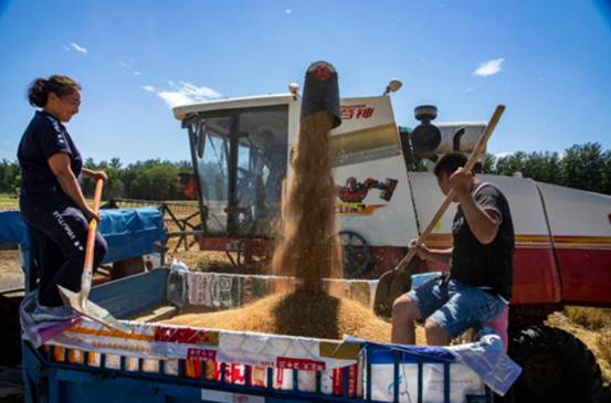 舒之畅运营方健力空间组织策划传销被罚没270