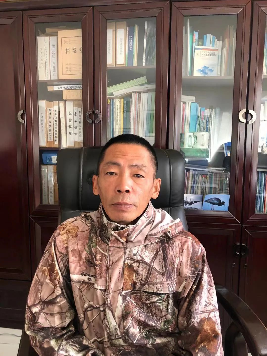 东西问朱宝光东方白鹳人工招引的中国经验有何国际借鉴意义