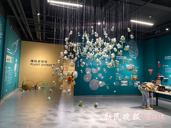 图说:种子博物馆内藏有多种植物种子