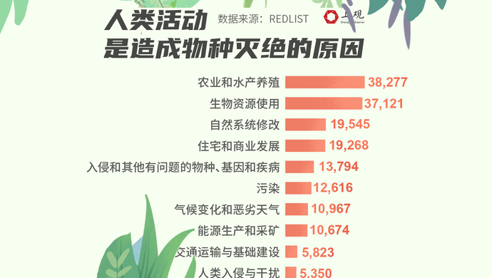 《2020人类发展报告》指出,自二十世纪以来,各类动物的灭绝速率大幅