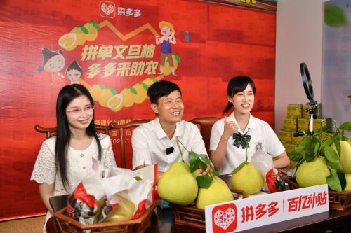 拼多多公益直播间搬进柚子林 仙游副县长助农直播带动文旦柚销量上涨368%