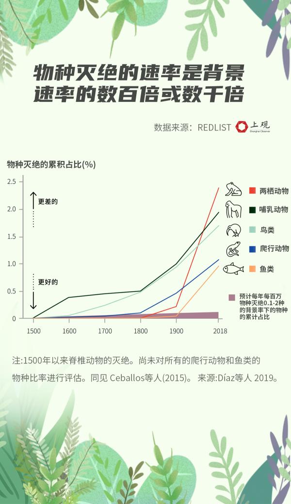 挽救大熊猫和扬子鳄的成就为什么对全世界有意义这张