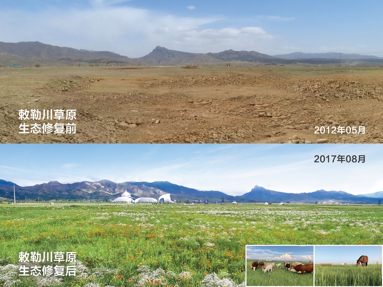 图为敕勒川草原修复前后实景对比图
