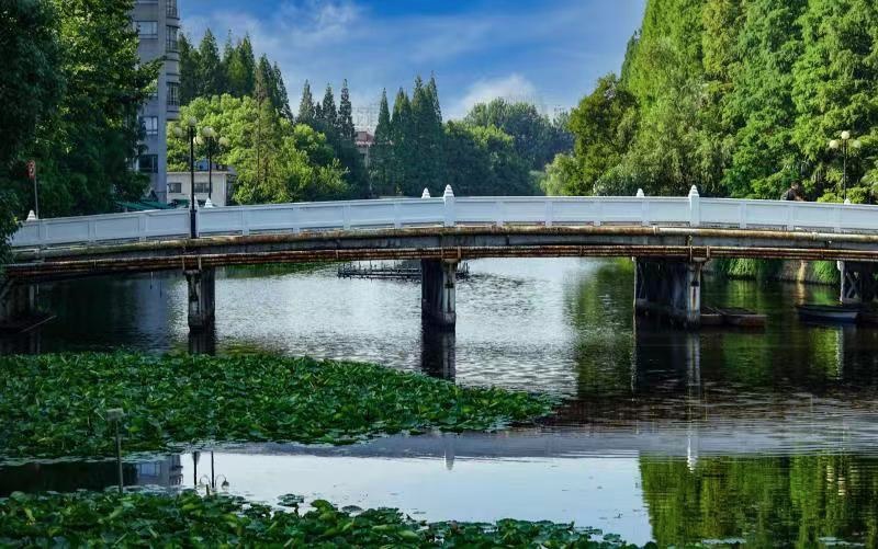 丽娃河华东师大那条传奇而隐逸的小溪