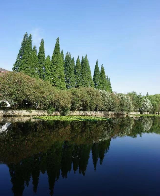 丽娃河华东师大那条传奇而隐逸的小溪