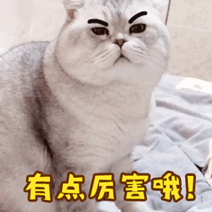 （图片来源于网络）