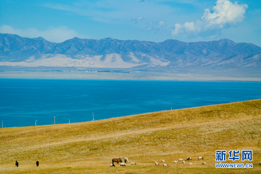 青海湖面积较2020年增大368平方公里
