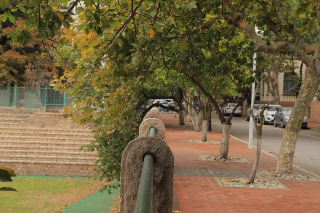 对应场景（地质馆前）