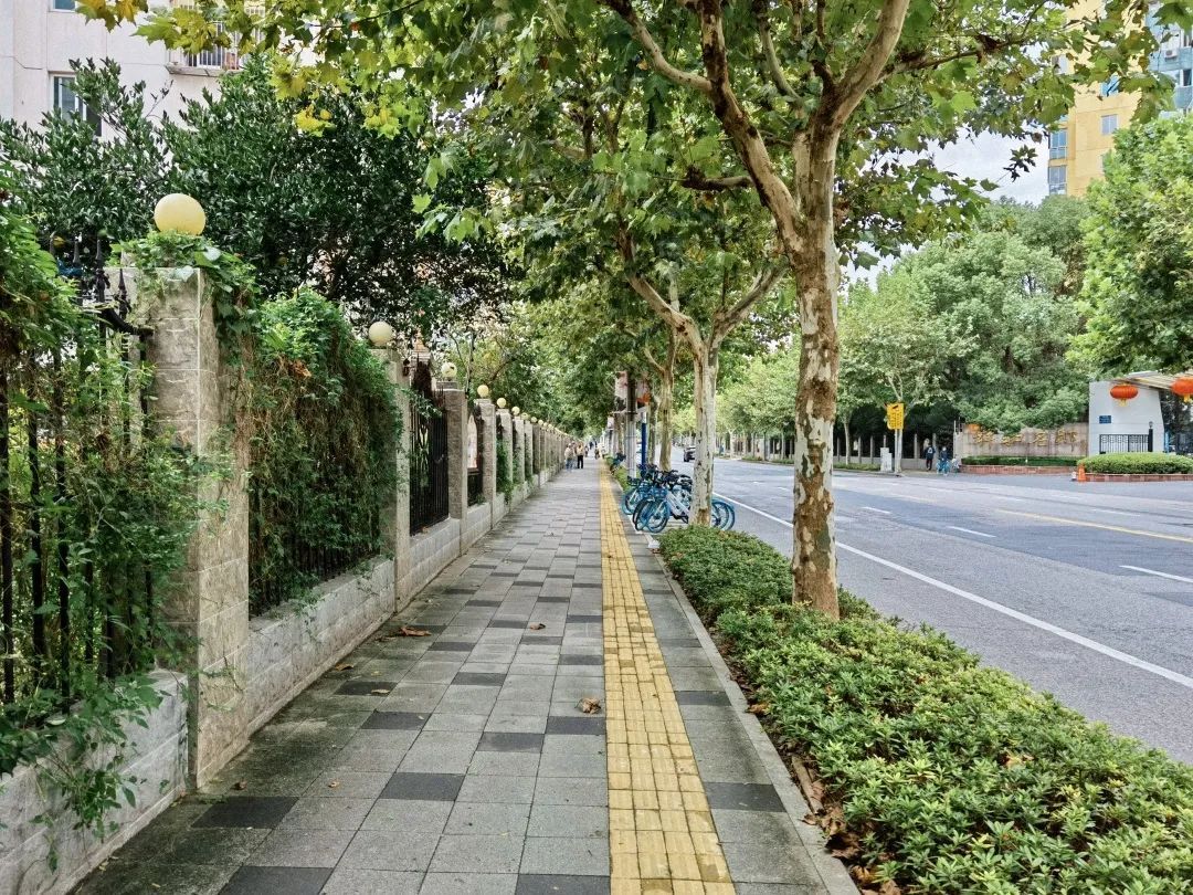 真光路景观完成升级可看可行有惊喜