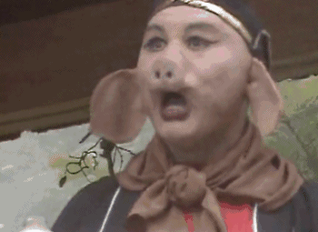 （图片来源于网络）