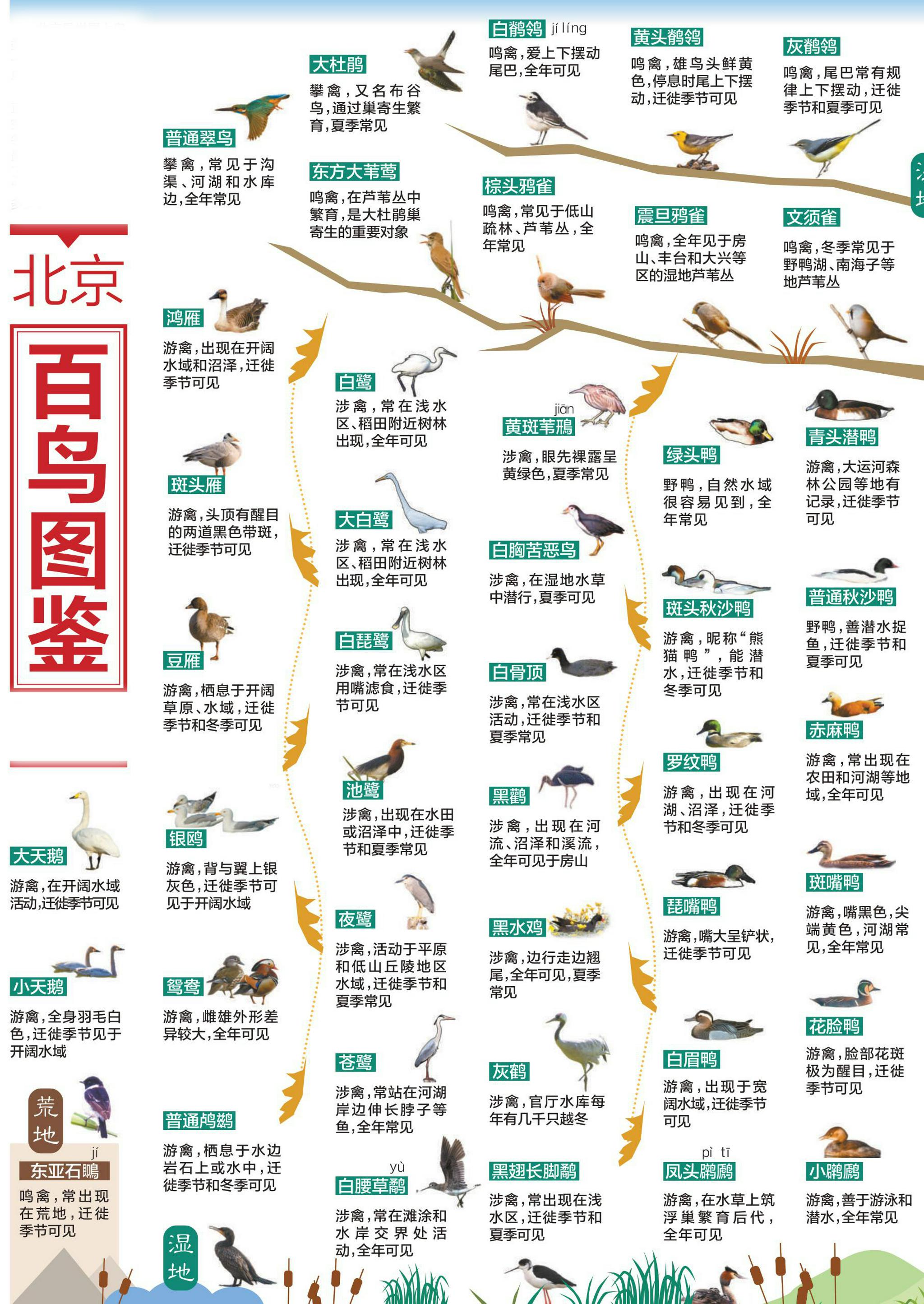 岁月流转中的城湾村 ——自治区黄河村落图鉴...