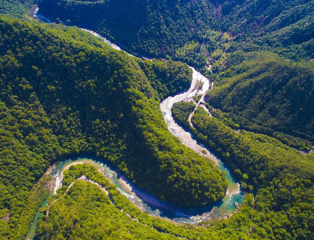 武夷山国家公园常绿阔叶林带.武夷山国家公园管理局供图