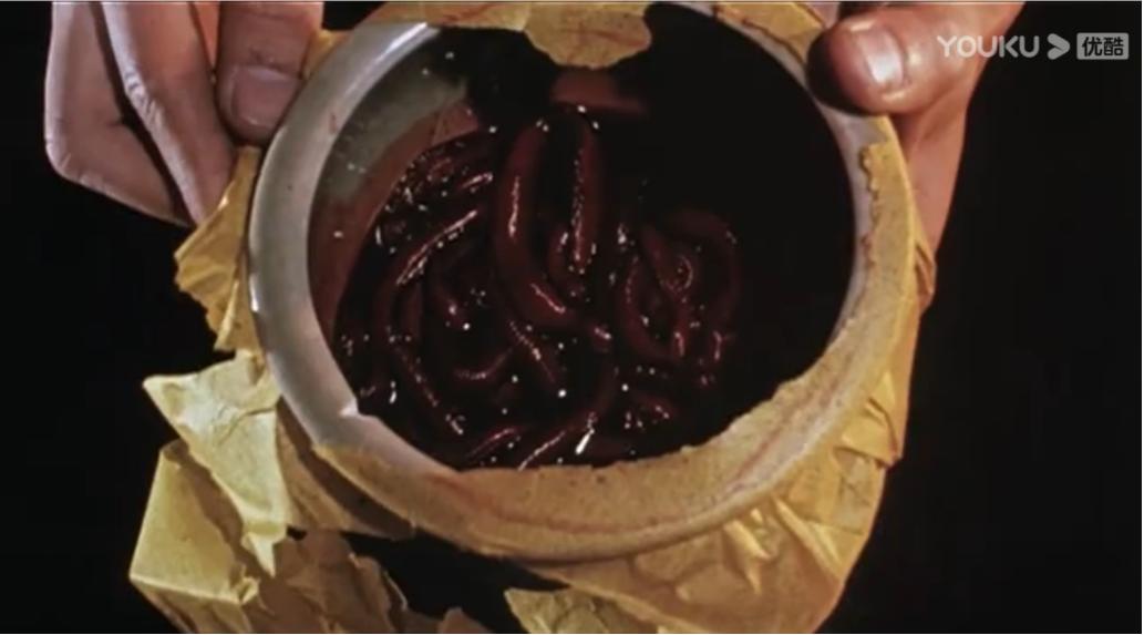 吸干人肉活人成俑传了两千多年的蛊术真的存在吗