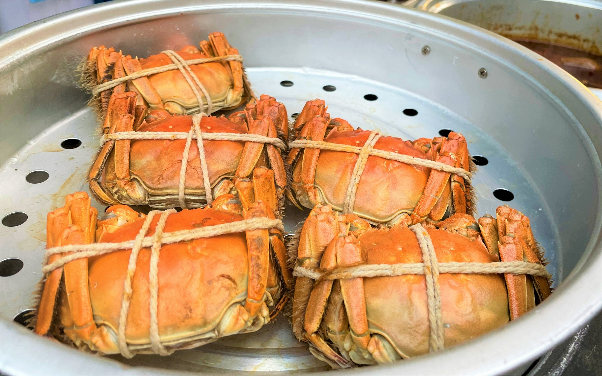 叶榭软糕张泽羊肉枫泾烧卖广富林文化遗址美食荟吸引了35万人次打卡