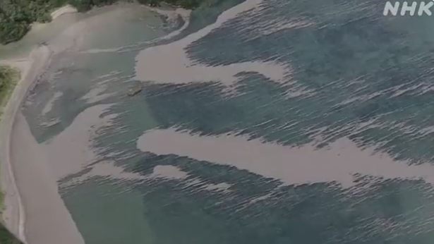 冲绳海域内漂浮着大面积浮石（NHK电视台报道截图）