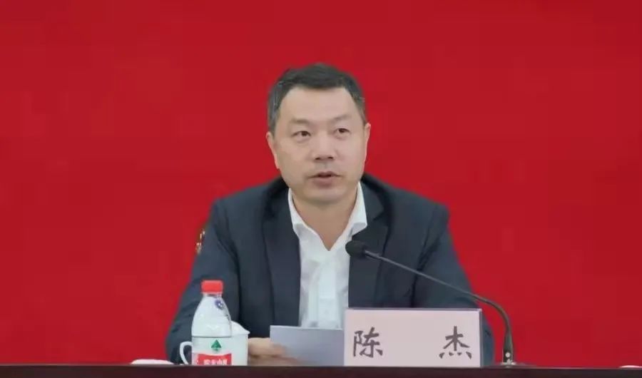 区委书记陈杰,区委